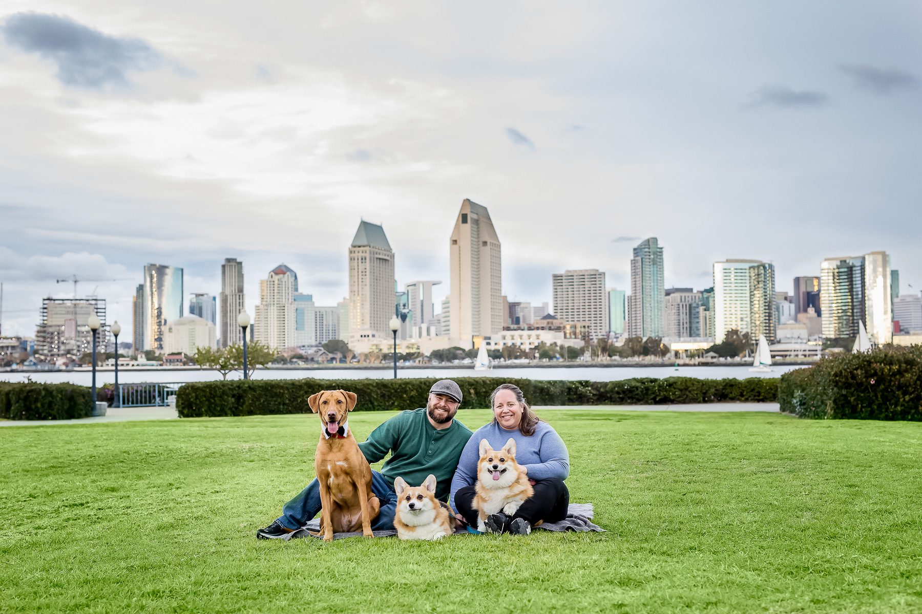 Family session with a man, woman, and their 3 dogs at Centennial Park in Coronado with downtown San Diego behind them