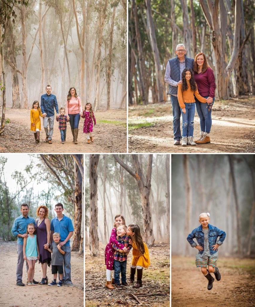 Collage of photos taken in UCSD: Eucalyptus Grove